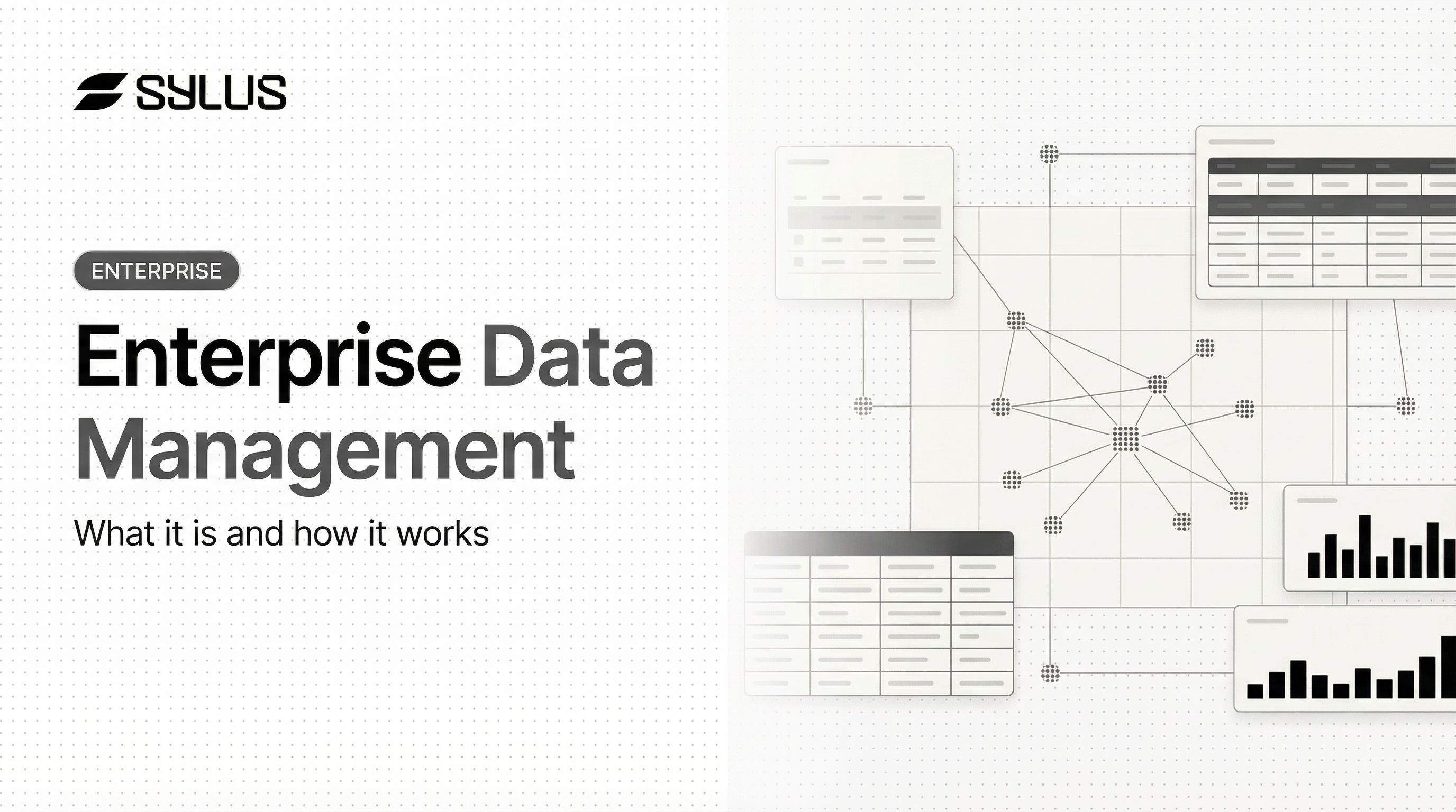 Enterprise Data Management: What It Is & How It Works