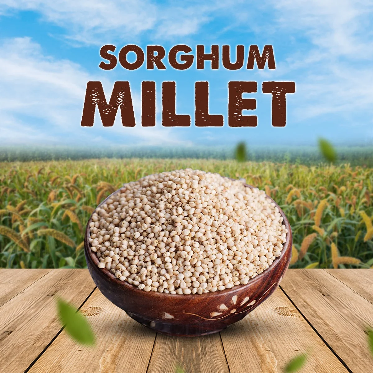 ignoreGeneration#Millets