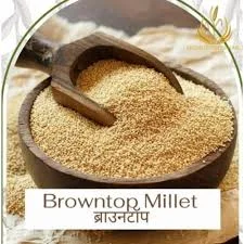 ignoreGeneration#Zoomable Image