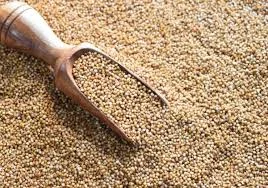 ignoreGeneration#Zoomable Image